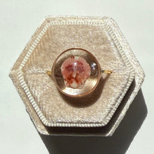 Load image into Gallery viewer, *Rare Finds* Treasure Seashell Rings