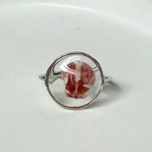 Load image into Gallery viewer, *Rare Finds* Treasure Seashell Rings