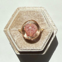 Load image into Gallery viewer, *Rare Finds* Treasure Seashell Rings