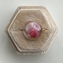 Load image into Gallery viewer, *Rare Finds* Treasure Seashell Rings