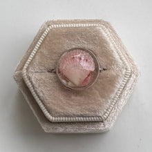 Load image into Gallery viewer, *Rare Finds* Treasure Seashell Rings