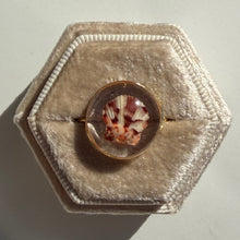Load image into Gallery viewer, *Rare Finds* Treasure Seashell Rings