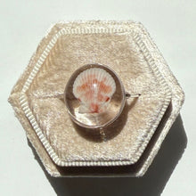 Load image into Gallery viewer, *Rare Finds* Treasure Seashell Rings