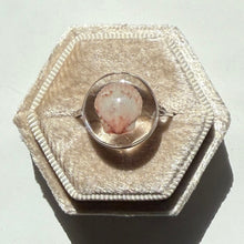 Load image into Gallery viewer, *Rare Finds* Treasure Seashell Rings