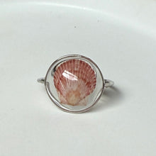 Load image into Gallery viewer, *Rare Finds* Treasure Seashell Rings