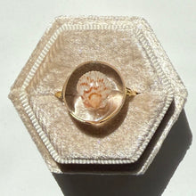 Load image into Gallery viewer, *Rare Finds* Treasure Seashell Rings