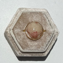 Load image into Gallery viewer, *Rare Finds* Treasure Seashell Rings