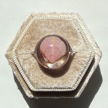 Load image into Gallery viewer, *Rare Finds* Treasure Seashell Rings