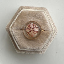 Load image into Gallery viewer, *Rare Finds* Treasure Seashell Rings