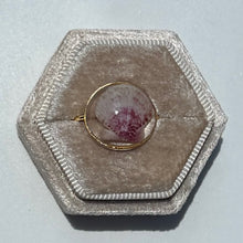 Load image into Gallery viewer, *Rare Finds* Treasure Seashell Rings