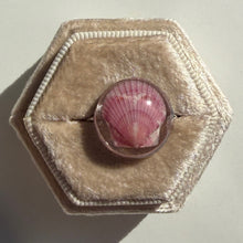 Load image into Gallery viewer, *Rare Finds* Treasure Seashell Rings
