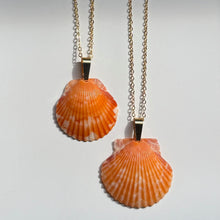 Load image into Gallery viewer, Dainty Gold Seashell Necklace