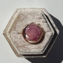 Load image into Gallery viewer, *Rare Finds* Treasure Seashell Rings