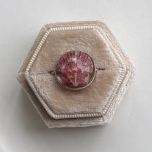 Load image into Gallery viewer, *Rare Finds* Treasure Seashell Rings