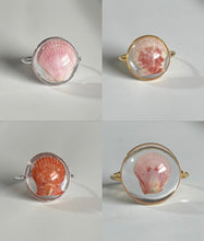 Load image into Gallery viewer, *Rare Finds* Treasure Seashell Rings