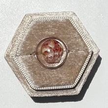 Load image into Gallery viewer, *Rare Finds* Treasure Seashell Rings
