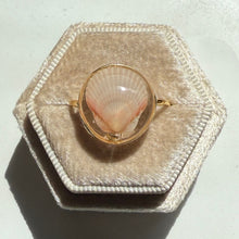 Load image into Gallery viewer, *Rare Finds* Treasure Seashell Rings