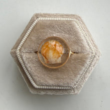 Load image into Gallery viewer, *Rare Finds* Treasure Seashell Rings