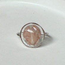 Load image into Gallery viewer, *Rare Finds* Treasure Seashell Rings