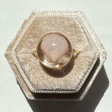 Load image into Gallery viewer, *Rare Finds* Treasure Seashell Rings