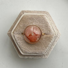 Load image into Gallery viewer, *Rare Finds* Treasure Seashell Rings