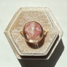 Load image into Gallery viewer, *Rare Finds* Treasure Seashell Rings