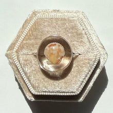 Load image into Gallery viewer, *Rare Finds* Treasure Seashell Rings