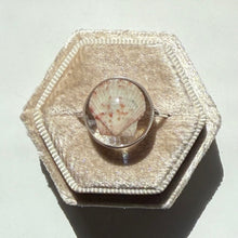 Load image into Gallery viewer, *Rare Finds* Treasure Seashell Rings