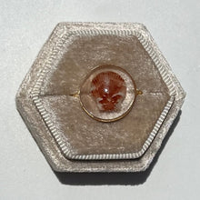 Load image into Gallery viewer, *Rare Finds* Treasure Seashell Rings