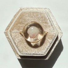 Load image into Gallery viewer, *Rare Finds* Treasure Seashell Rings