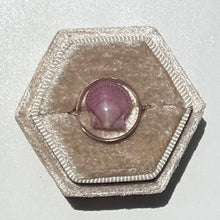 Load image into Gallery viewer, *Rare Finds* Treasure Seashell Rings