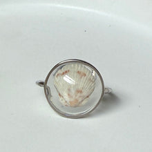 Load image into Gallery viewer, *Rare Finds* Treasure Seashell Rings