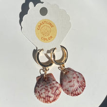 Load image into Gallery viewer, *Rare Finds* Tiny Seashell Earrings
