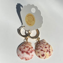 Load image into Gallery viewer, *Rare Finds* Seashell Earrings
