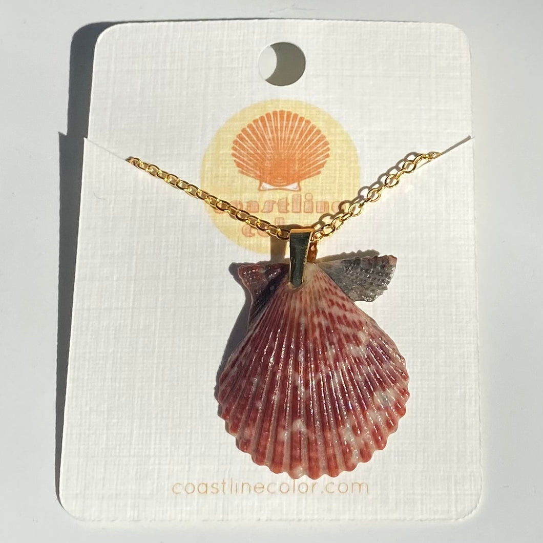 *Rare Finds* Dainty Gold Seashell Necklace
