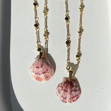Load image into Gallery viewer, Sunset Seashell Necklace
