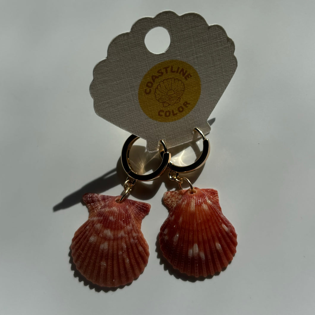 *Rare Finds* Tiny Seashell Earrings