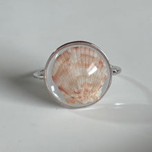 Load image into Gallery viewer, *Rare Finds* Treasure Seashell Rings
