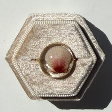 Load image into Gallery viewer, *Rare Finds* Treasure Seashell Rings
