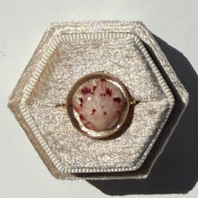 Load image into Gallery viewer, *Rare Finds* Treasure Seashell Rings
