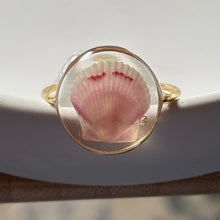 Load image into Gallery viewer, *Rare Finds* Treasure Seashell Rings
