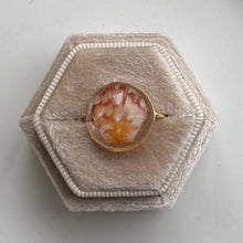 Load image into Gallery viewer, *Rare Finds* Treasure Seashell Rings
