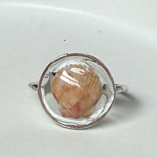 Load image into Gallery viewer, *Rare Finds* Treasure Seashell Rings
