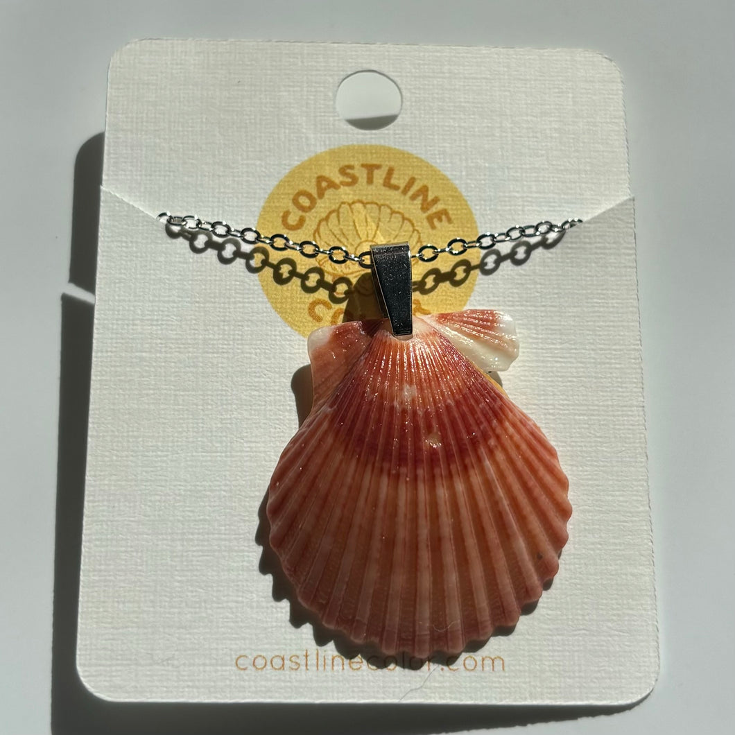 *Rare Finds* Dainty Silver Seashell Necklace