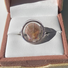 Load image into Gallery viewer, Silver Treasure Seashell Ring
