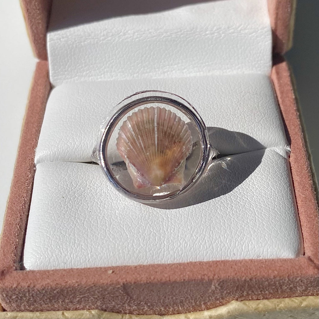Silver Treasure Seashell Ring