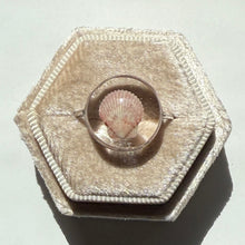 Load image into Gallery viewer, *Rare Finds* Treasure Seashell Rings
