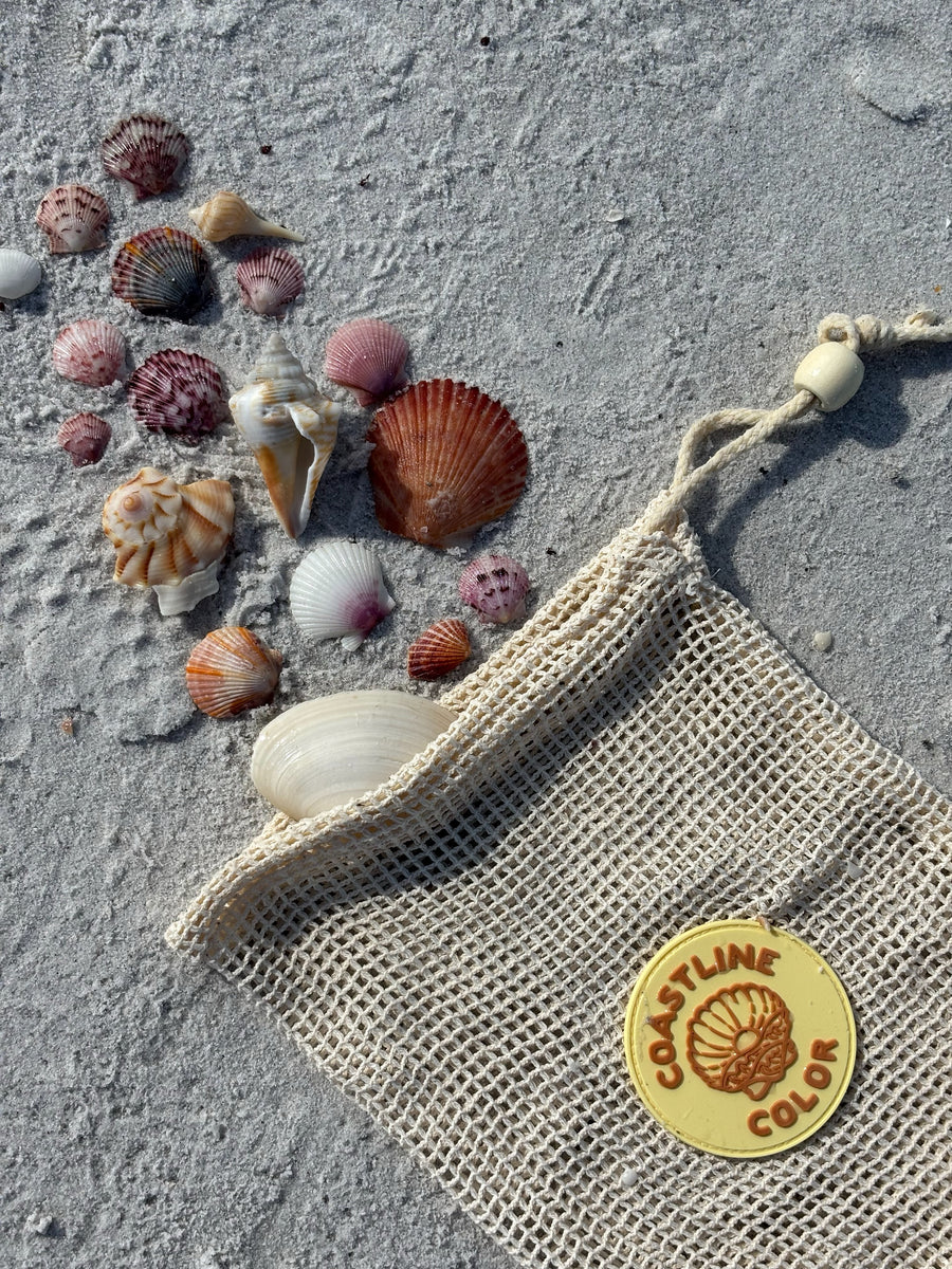 Seashell Collecting Bag – Coastline Color