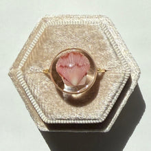 Load image into Gallery viewer, *Rare Finds* Treasure Seashell Rings

