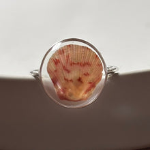 Load image into Gallery viewer, *Rare Finds* Treasure Seashell Rings
